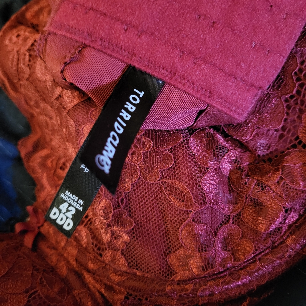 42DDD Bra